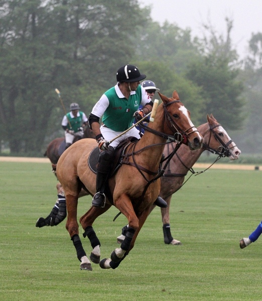 Polo_Art   043.jpg